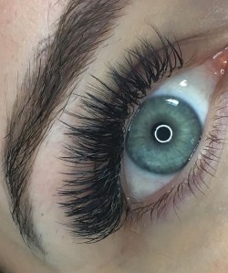 A full fan of eyelash extensions applied at Lash and Brow Art in Langley BC
