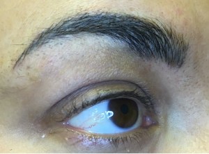 Close up of freshly microbladed eyebrows by Kelly Paterson of Lash and Brow Art in Langley BC